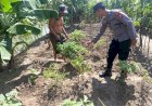 POLRESTA-SIDOARJO--|-Bhabinkamtibmas-Polsek-Krembung-Berikan-Motivasi-Warga-Olah-Lahan-Produktif-untuk-Ketahanan-Pangan