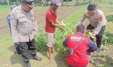 Polisi-Cinta-Petani,-Kapolsek-Porong-Turun-Langsung-Cek-Lahan-Ketahanan-Pangan
