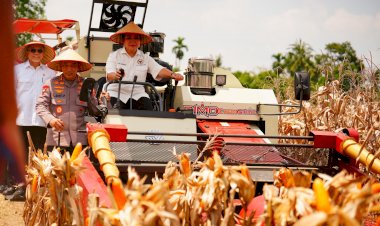 Panen-Raya-Kuartal-III-Polri-Hasilkan-751-Ribu-Ton-Jagung,-Bukti-Nyata-Dukung-Swasembada-Pangan