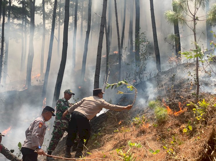 Polres Ponorogo dan Tim Gabungan Tembus Medan Curam Lereng Gunung Limas Padamkan Api Karhutla