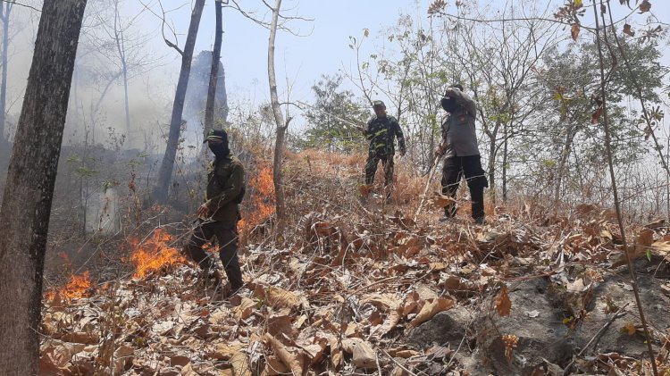 Respons Cepat Polres Ponorogo dan Tim Gabungan Berhasil Jinakkan Karhutla di Sampung
