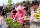 Polsek-Taman-bersama-Warga-Tanam-Bibit-Cabai-dan-Terong-di-Lahan-Produktif-Desa-Sambibulu