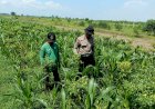 Wujudkan-Program-Pekarangan-Pangan-Bergizi,-Bhabinkamtibmas-Desa-Seketi-Lakukan-Hal-ini...
