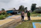 Bhabinkamtibmas-Dampingi-dan-Motivasi-Petani-Saat-Jemur-Gabah-di-Desa-Krembangan