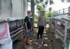 Polsek-Candi-Laksanakan-Pengecekan-Program-Ketahanan-Pangan-Ternak-Ayam-Petelur-di-Desa-Sugiwaras