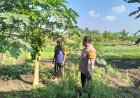 Bhabinkamtibmas-Desa-Jiken-Dukung-Ketahanan-Pangan-Lewat-Pendataan-Kendala-Lahan-Pekarangan