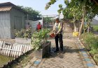 Aiptu-Iswahyudi,-Polisi-Cinta-Petani-dari-Polsek-Krian-Polresta-Sidoarjo