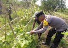 Sinergi-Polri-dan-Warga-Sidoarjo-Wujudkan-Ketahanan-Pangan-dari-Pekarangan-Rumah