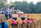 Presiden-Prabowo-dan-Kapolri-Panen-Raya-Jagung-Nasional-di-Tuban-Perkuat-Ketahanan-Pangan