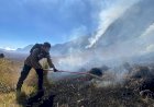 Polres-Probolinggo-Terjunkan-Personel-Bantu-Padamkan-Kebakaran-Hutan-di-Gunung-Bromo