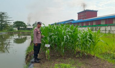 Polsek-Krian-Masifkan-Program-Ketahanan-Pangan-di-Desa-Ponokawan-Krian
