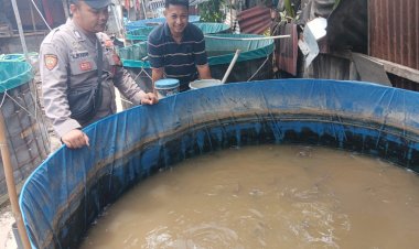 Bhabinkamtibmas-Desa-Ketajen-Tinjau-Budidaya-Ikan-Lele-Dukung-Program-P2B