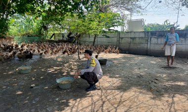 Polsek-Porong-Tinjau-Peternakan-Bebek-Program-P2B