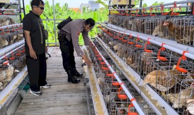 Bhabinkamtibmas-Sidodadi-Sambangi-Peternakan-Ayam-Petelur,-Tingkatkan-Ketahanan-Pangan