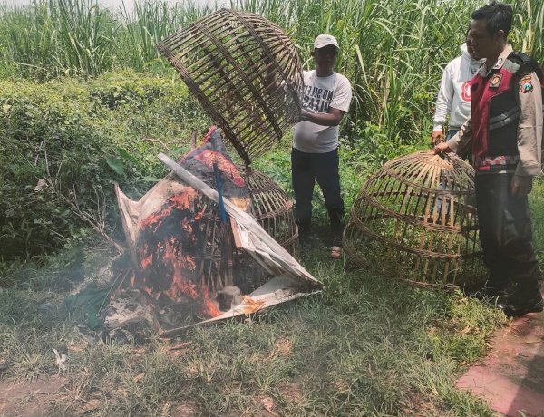 Respon Aduan Warga, Polsek Prambon Datangi Lokasi Sabung Ayam di Desa Jatikalang
