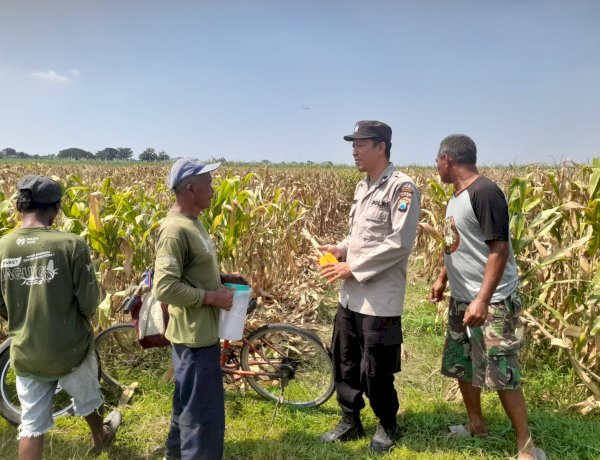 Kapolsek Prambon Masifkan Bhabinkamtibmas Sambang Petani, Guna Dongkrak Swasembada Pangan