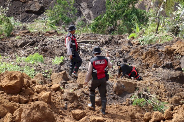 *Polres Lumajang Kerahkan Unit K9 Cari Korban Tertimbun Longsor di Lumajang*