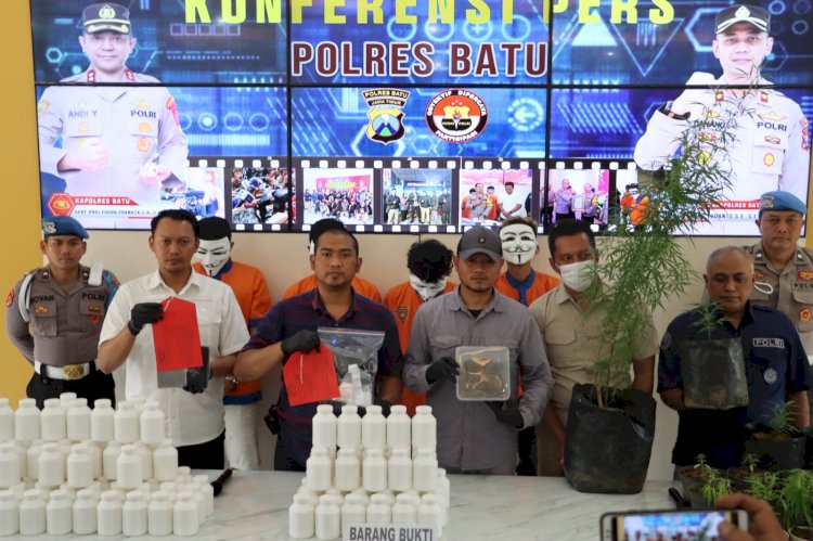 Polres Batu Berhasil Amankan Tersangka Penanam Pohon Ganja