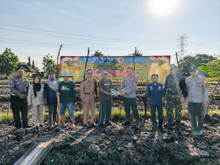 Kapolsek Wonoayu Tanam Jagung Bersama Gapoktan